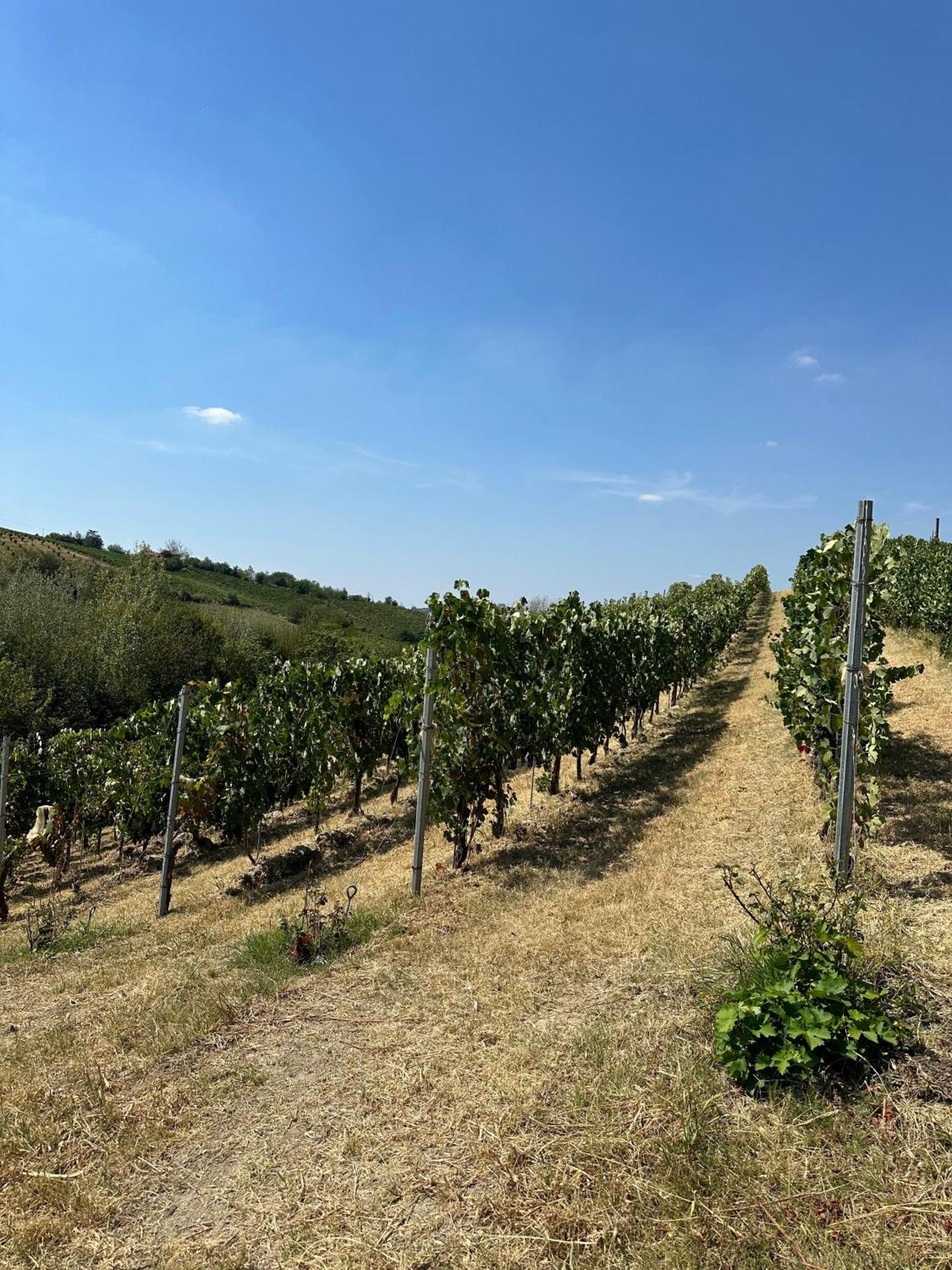 Cadgal - Tenuta La Cova Calamandrana Exterior foto